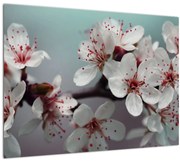 Tablou cu floare - roșie (70x50 cm)