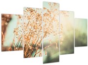 Tablou - Plante de luncă (150x105 cm)