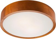 Plafonieră LED/24W/230V