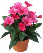 Floare artificială Impatiens în ghiveci, roz închis, 24 cm