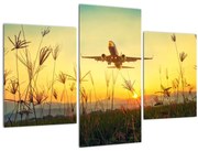 Tablou cu avion zburând (90x60 cm)