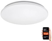 Plafonieră LED RGB dimabilă CERRIGEN LED/24W/230V Rabalux 71035