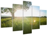 Tablou cu lunca în vară (150x105 cm)