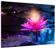 Tablou cu lotus pe apă (70x50 cm)