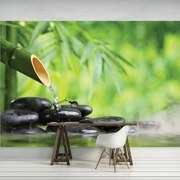 Fototapet - Relaxare în verde (254x184 cm)