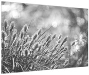 Tablou - Iarbă moale bej N⁰1 (90x60 cm)