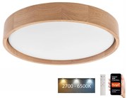 Plafonieră LED Brilagi MANAROLA SMART LED/24W/230V Tuya + telecomandă