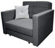 Fotoliu extensibil Firin N97