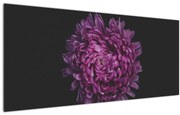 Tablou cu floare violetă (120x50 cm)
