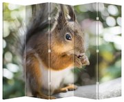 Paravan - Veverița (210x170 cm)