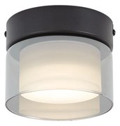 Plafonieră modernă neagră cu sticlă fumurie - Puck