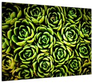 Tablou cu flori de piatră (70x50 cm)
