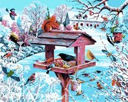 Pictura pe numere cu un cadru "Colivie" 50x40 cm