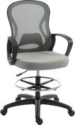 Vinsetto Scaun de birou ergonomic, fotoliu de birou cu suport pentru picioare și cotiere, din mesh, 59 x 65 x 123 cm, Gri | Aosom Romania