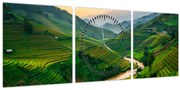 Tablou - Terase de orez II. (cu ceas) (90x30 cm)