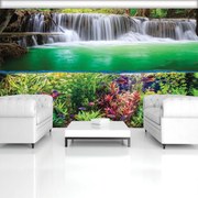 Fototapet - Plante, pești și cascada (254x184 cm)