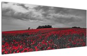 Tablou cu maci (120x50 cm)