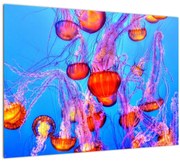 Tablou cu meduse în mare (70x50 cm)
