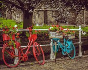 Pictura pe numere cu un cadru "Biciclete în parc" 50x40 cm