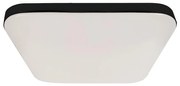 Plafonieră LED NEMO, 36 W, 230 V, 50 x 50 cm, neagră