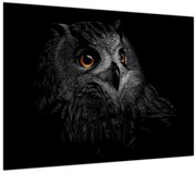 Tablou - Bufniță, ilustrație (70x50 cm)