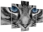 Tablou cu pisica (150x105 cm)