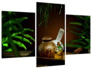 Tablou cu obiectele spa (90x60 cm)