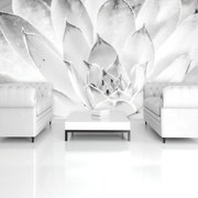 Fototapet - Floare de lotus (254x184 cm)