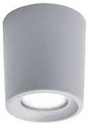 Plafoniera exterior 1 bec GU10 IP55 LIVIA 95LIVIA90/GR ELMARK