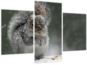 Tablou - Veveriță iarna (90x60 cm)