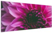 Tablou cu floarea roz (120x50 cm)