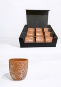 Set Cadou 9 Pahare Cafea Novum Granit Orange Pearl (9 pahare 150ml, cutie premium)