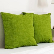 B.E.S. Petrovice Pernuță decorativă BESSY 45 x 45 cm verde set 2 buc