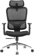 Scaun ergonomic SIHOO M56C-V2-M101, Suport Lombar Dinamic în Formă S, Tetieră Reglabilă 2D, Cotiere Ajustabile, Mecanism Synchro-Tilt, Bază Metalică Cromată, Mesh, Negru
