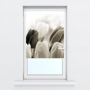 Fotojaluzele R012126R42150 (42x150 cm)