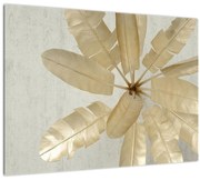 Tablou pe sticlă cu pene da găscă (70x50 cm)