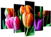 Tablou -Lalele pe fond negru (150x105 cm)