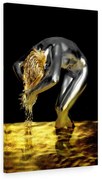 Tablou canvas Silver Gold Girl 120x80 cm
