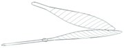 Gril pliabil pentru pește 42x9 cm – suport metalic cromat pentru grătar BBQ