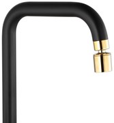 Baterie bucătărie Rea Polo Black Gold