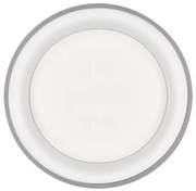 Solight WO768-G - Plafonieră LED dimabilă TREVISO LED/48W/230V cu DO