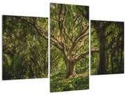 Tablou cu copaci (90x60 cm)