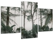 Tablou - Jungla în ceața dimineții (90x60 cm)