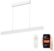 Immax NEO 07075L-LED Lustra LED dimabilă pe cablu LISTON 18W 230V + DO Tuya