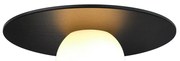 Plafoniera Rotunda cu protectie IP44 Siona negru
