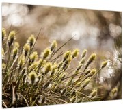 Tablou - Verde (70x50 cm)