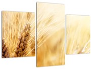 Tablou- detaliu cu (90x60 cm)