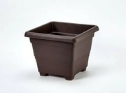 Plastia Ghiveci de flori Begonia 60 x 60,ciocolată