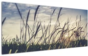 Tablou cu flori de câmp (120x50 cm)