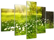 Tablou cu poiana și flori (150x105 cm)